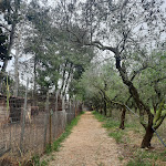 Photo n°35 de l'avis de Alexander.e fait le 22/05/2023 à 22:51 sur le  Agriturismo Scalelle à Otranto