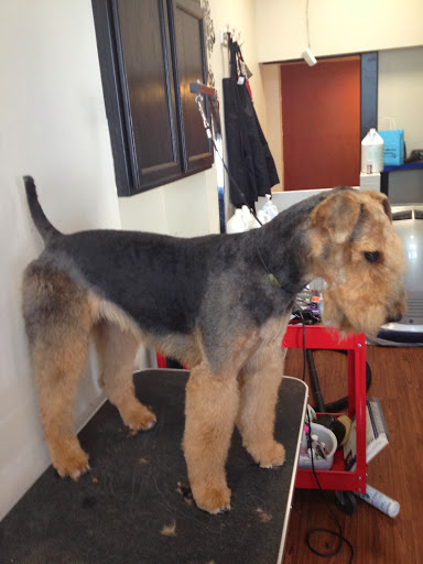 Pet Groomer «Ufuri Pet Salon», reviews and photos, 235 Huron Ave, Port Huron, MI 48060, USA