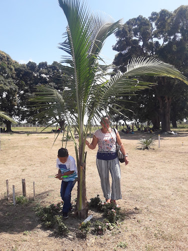 Comentarios y opiniones de Finca San José (Santa Narcisa de Jesús)