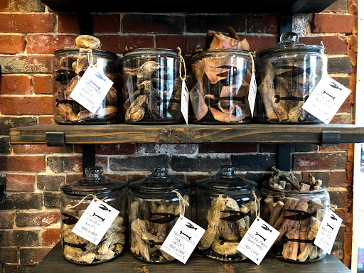 Pet Supply Store «The Fish & Bone, Portland ME», reviews and photos, 195 Commercial St, Portland, ME 04101, USA