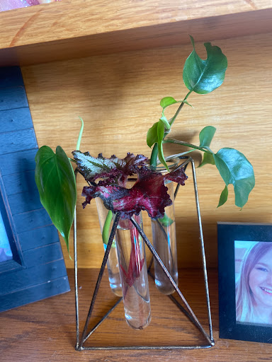 Grocery Store «Cash Wise Foods», reviews and photos, 3300 US-10, Moorhead, MN 56560, USA