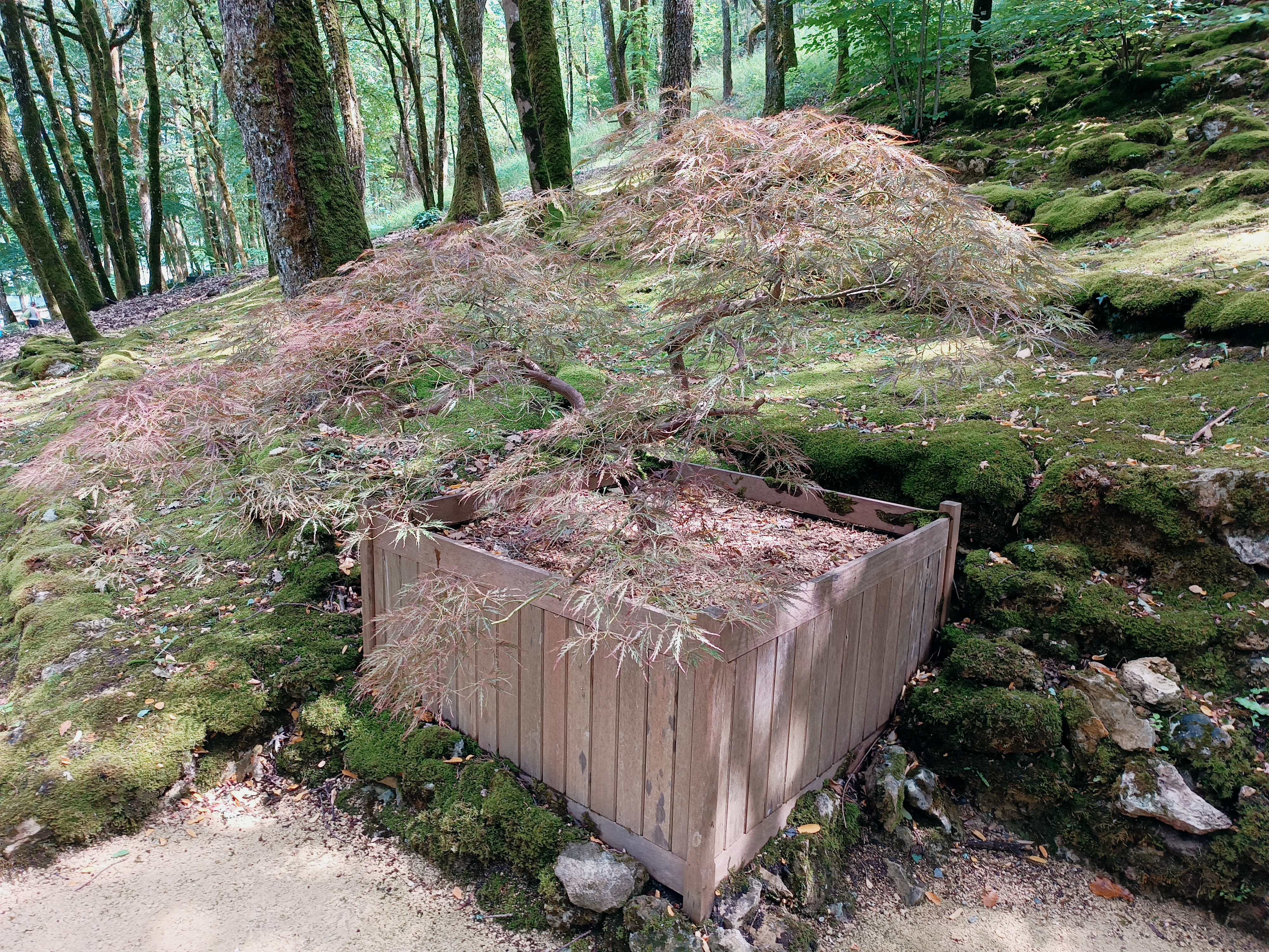 Photo n° 2 de l'avis de Stéphane.a fait le 14/08/2023 à 17:25