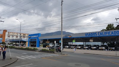 car-dealer