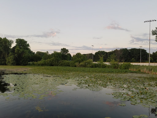 Park «Tanners Lake Park», reviews and photos, 400 Glenbrook Ave N, Oakdale, MN 55128, USA