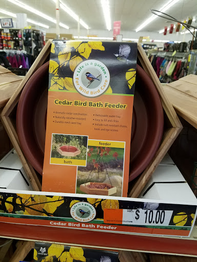 Discount Store «Ocean State Job Lot», reviews and photos, 869 Grand Army of the Republic Hwy, Somerset, MA 02726, USA