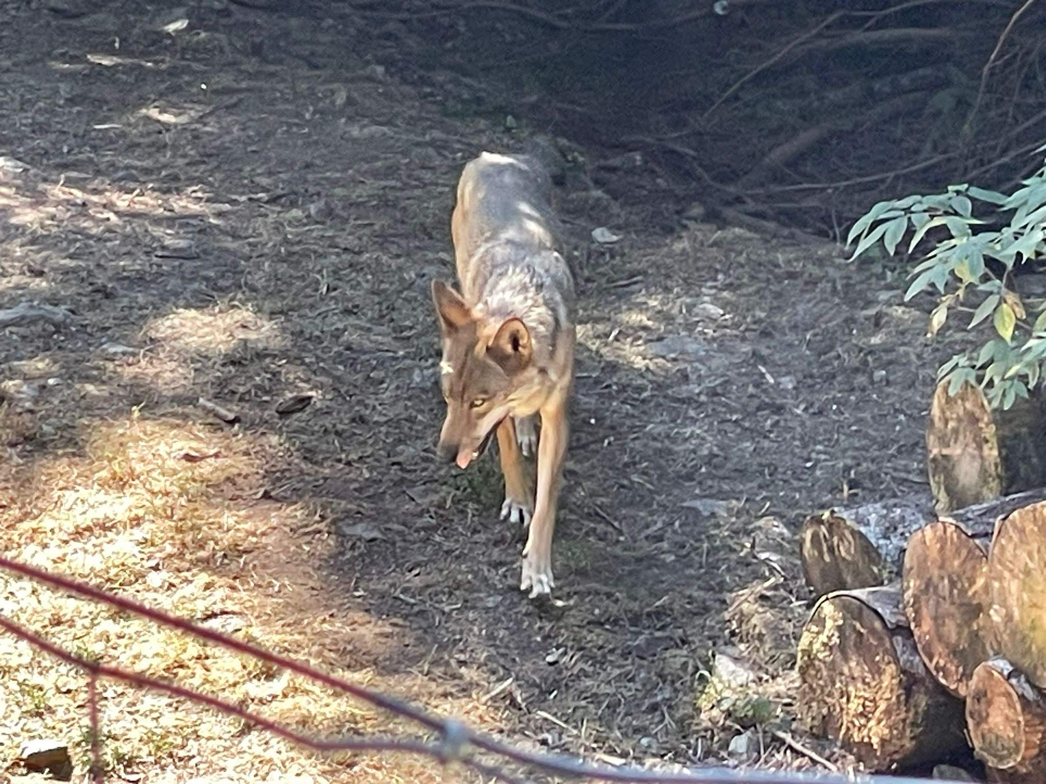 Photo n° 2 de l'avis de Dominique.a fait le 31/08/2023 à 12:38