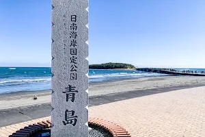 日南海岸国定公園青島の碑 image