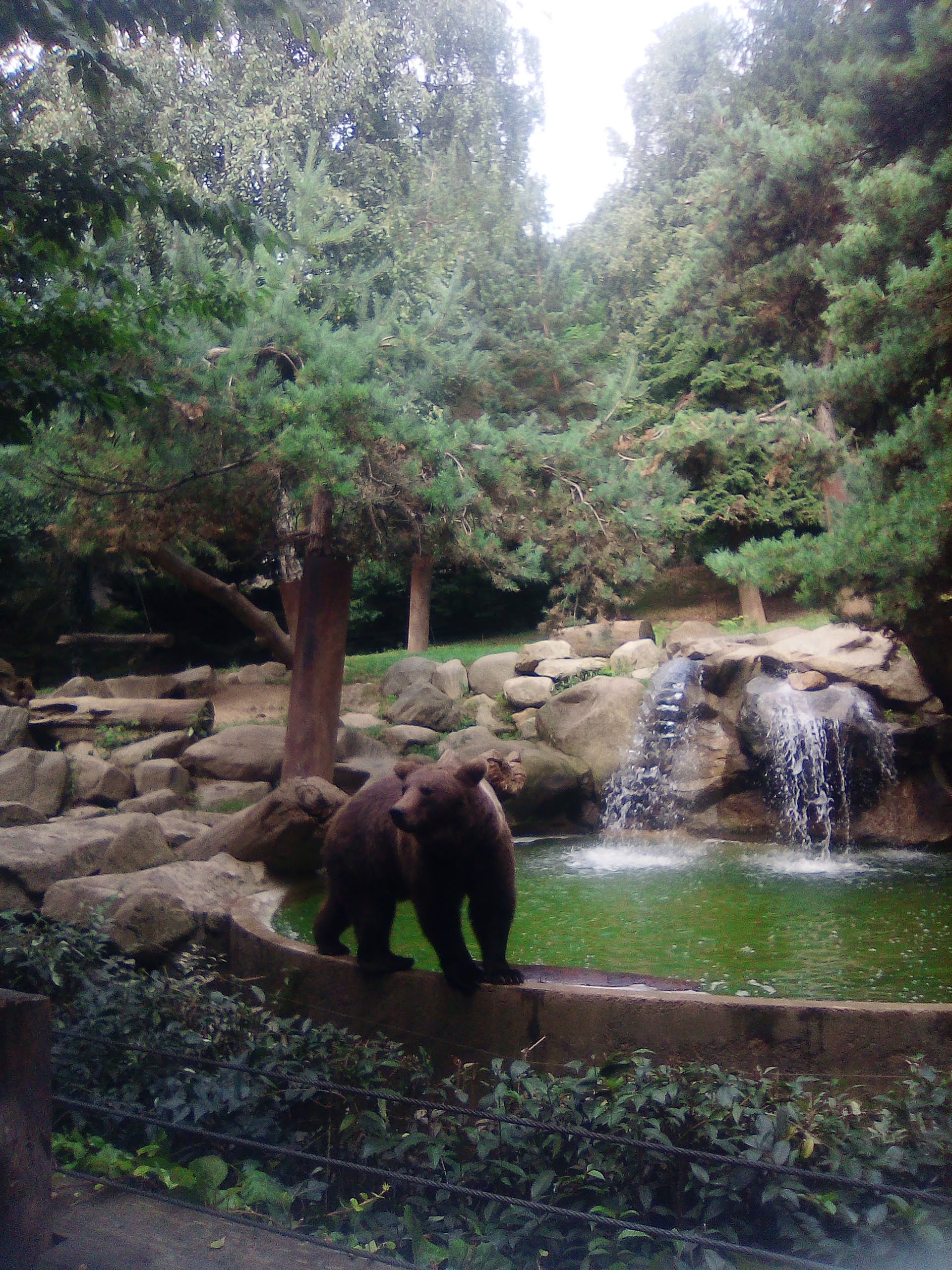 Photo n° 3 de l'avis de Imelda.i fait le 24/08/2019 à 20:04