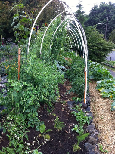 Making A Difference Foundation