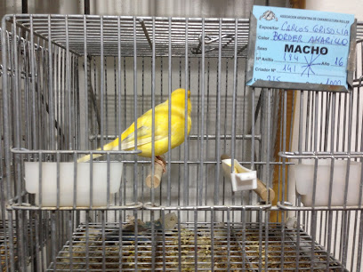 Veterinaria y Pet Shop 'Los Canarios de Balvanera' - Asociación Argentina de Canaricultura Roller