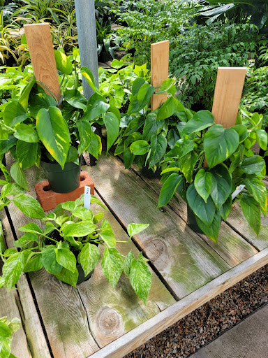 Florist «Platte Floral», reviews and photos, 1417 E Platte Ave, Colorado Springs, CO 80909, USA