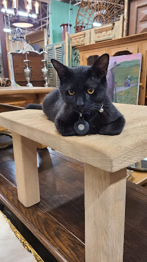 Antique Furniture Store «Lots of Furniture Antiques Warehouse», reviews and photos, 910 N Riverfront Blvd, Dallas, TX 75207, USA