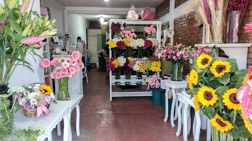 Florería Belén
