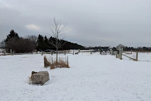 North Whitby Off-Leash Dog Park image
