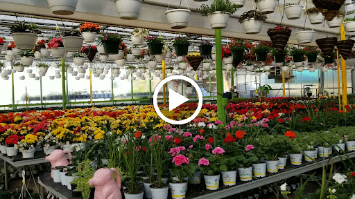 Florist «Dutch & Olgas Greenhouse», reviews and photos, 1285 NJ-36, Hazlet, NJ 07730, USA