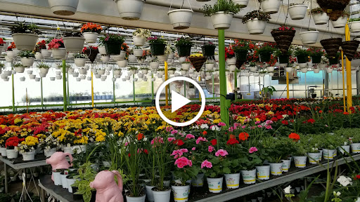 Florist «Dutch & Olgas Greenhouse», reviews and photos, 1285 NJ-36, Hazlet, NJ 07730, USA