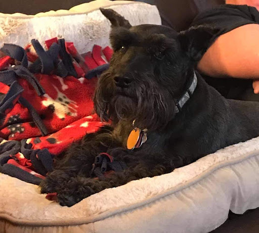 Pet Supply Store «Pet Supplies Plus», reviews and photos, 50623 Valley Plaza Dr, St Clairsville, OH 43950, USA