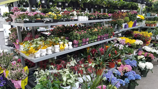 Home Improvement Store «The Home Depot», reviews and photos, 3838 Hollis Avenue, Emeryville, CA 94608, USA