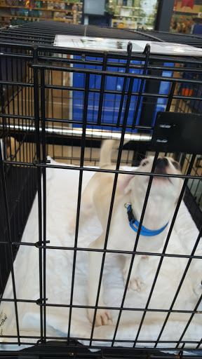 Pet Supply Store «PetSmart», reviews and photos, 3335 Cobb Pkwy NW #400, Acworth, GA 30101, USA