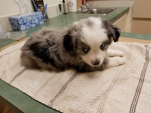 585 NW Zobrist St, Estacada, OR 97023, USA