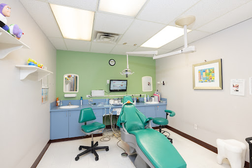 Denver Youth Dentistry and Orthodontics Photo