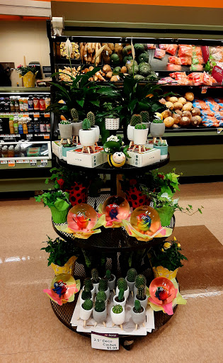 Grocery Store «Hannaford Supermarket», reviews and photos, 3758 Burgoyne Ave, Hudson Falls, NY 12839, USA