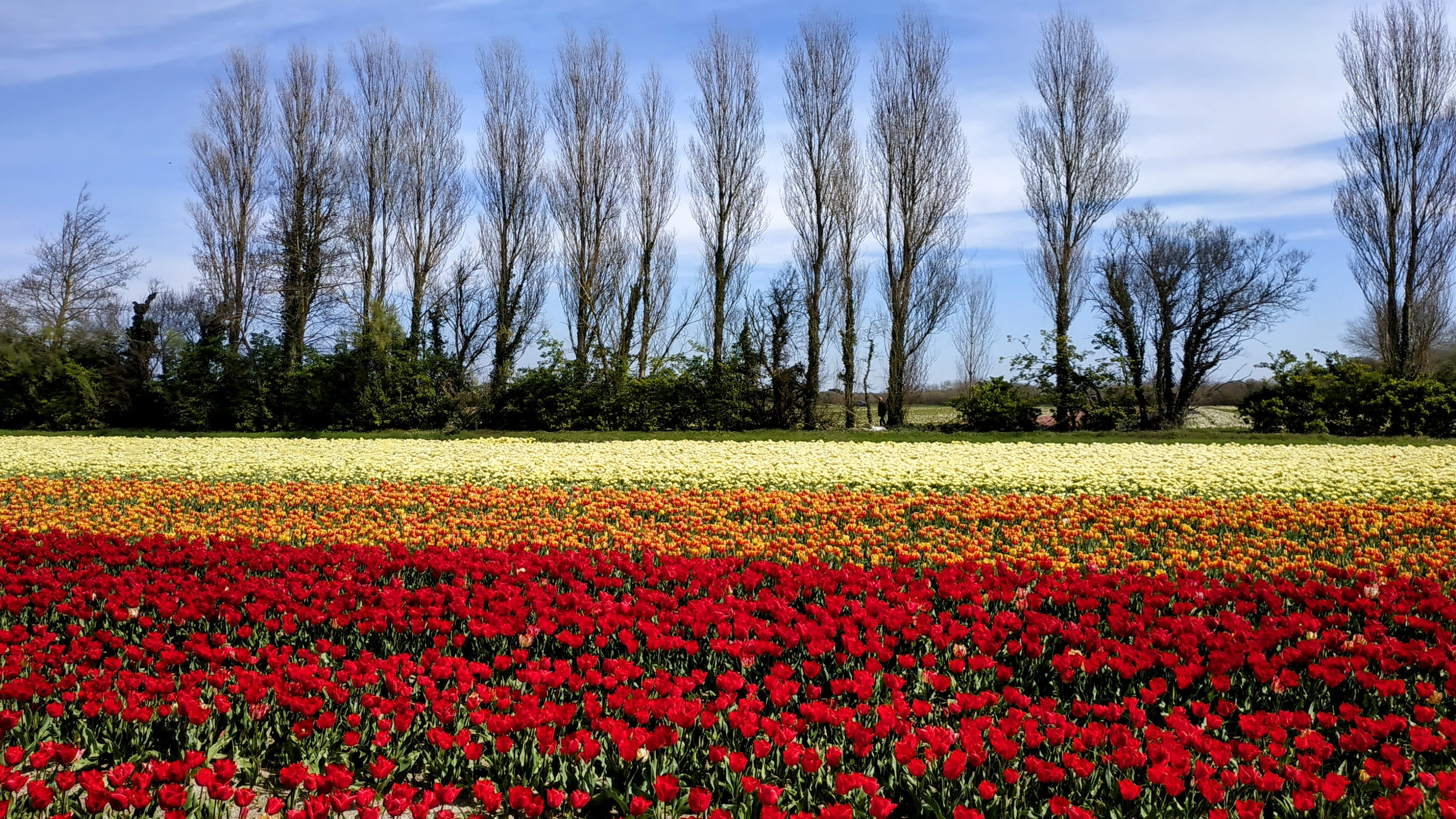 Photo n° 5 de l'avis de The.a fait le 05/04/2023 à 21:57