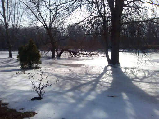 Cigar Shop «Up In Smoke Fine Cigars», reviews and photos, 91 Berlin Rd, Cromwell, CT 06416, USA