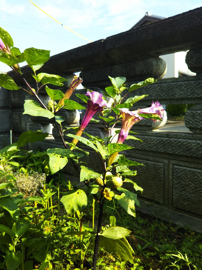 八柱神社