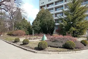 Asmolov Park image