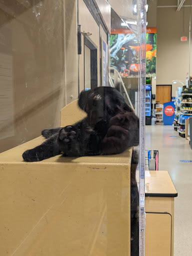 Pet Supply Store «PetSmart», reviews and photos, 3995 Welsh Rd, Willow Grove, PA 19090, USA