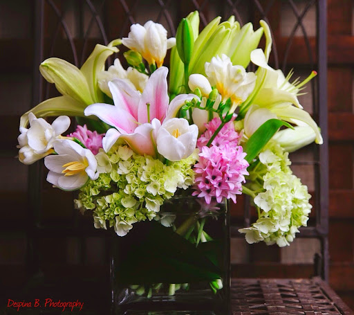Florist «Flowers By Donna», reviews and photos, 58 Maryland Ave, Annapolis, MD 21401, USA