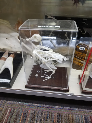 Toy Store «Brookside Toy and Science», reviews and photos, 330 W 63rd St, Kansas City, MO 64113, USA