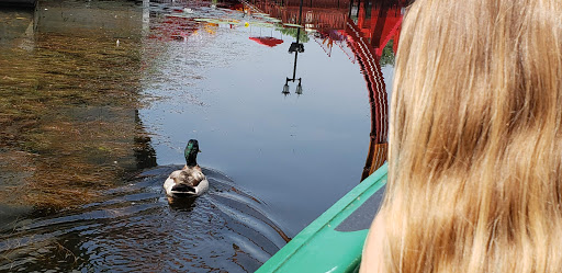 Theme Park «The Great Escape & Splashwater Kingdom», reviews and photos, 89 Six Flags Dr, Queensbury, NY 12804, USA