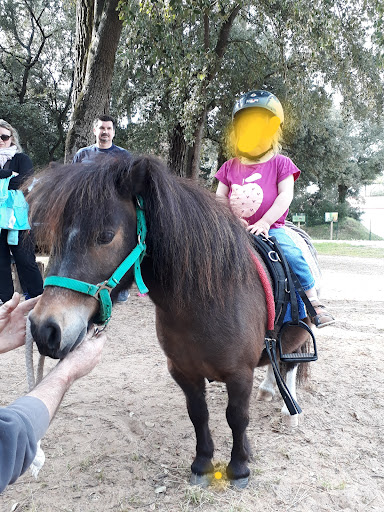 Les Poneys D'ô Village à La Tranche-sur-Mer, Vendée