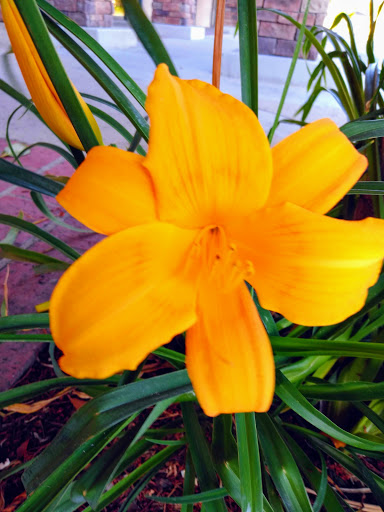 Grocery Store «Ralphs», reviews and photos, 101 W Los Angeles Ave, Moorpark, CA 93021, USA