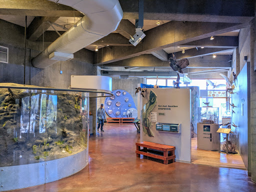 Nature Preserve «Peter and Mary Muth Interpretive Center», reviews and photos, 2301 University Dr, Newport Beach, CA 92660, USA