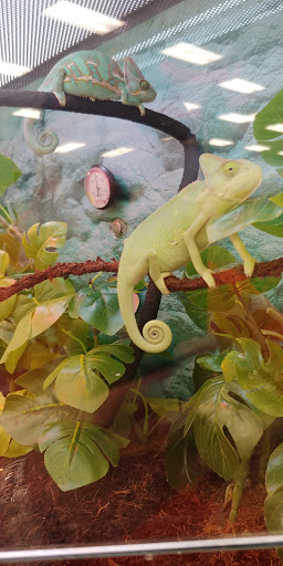 Pet Supply Store «Petco Animal Supplies», reviews and photos, 1210 Providence Hwy, Norwood, MA 02062, USA