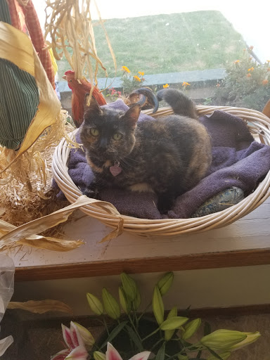 Florist «Unique Florist», reviews and photos, 8130 2nd St, Downey, CA 90241, USA