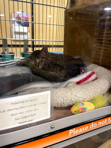 Pet Supply Store «PetSmart», reviews and photos, 2865 Oak Valley Dr, Ann Arbor, MI 48103, USA