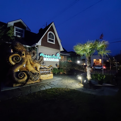 Green Oasis Paddleboards