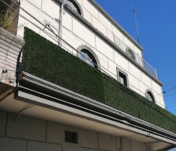 Hotel Plaza Zuazua photo