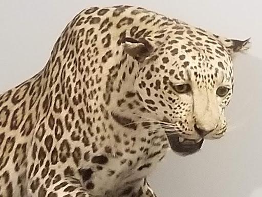 Science Museum «Museum of Science», reviews and photos, 1 Science Park, Boston, MA 02114, USA