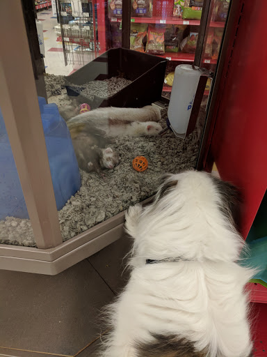 Pet Supply Store «Petco Animal Supplies», reviews and photos, 85 State St, Orem, UT 84058, USA