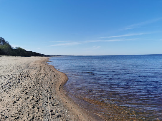 Saulkrasti beach II