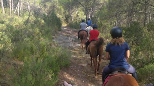 Centro Hípico La Serranía en Casinos, Valencia