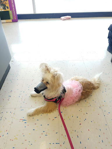 Pet Supply Store «Petco Animal Supplies», reviews and photos, 420 El Cerrito Plaza, El Cerrito, CA 94530, USA