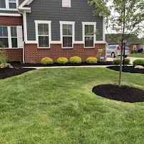 Mercy Tree & Landscaping