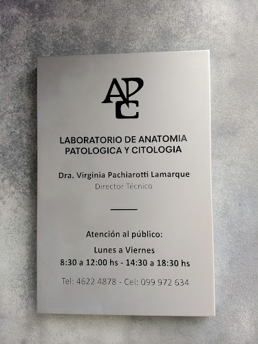 Opiniones de APC Laboratório de Anatomia Patológica y Citologia en Artigas - Laboratorio