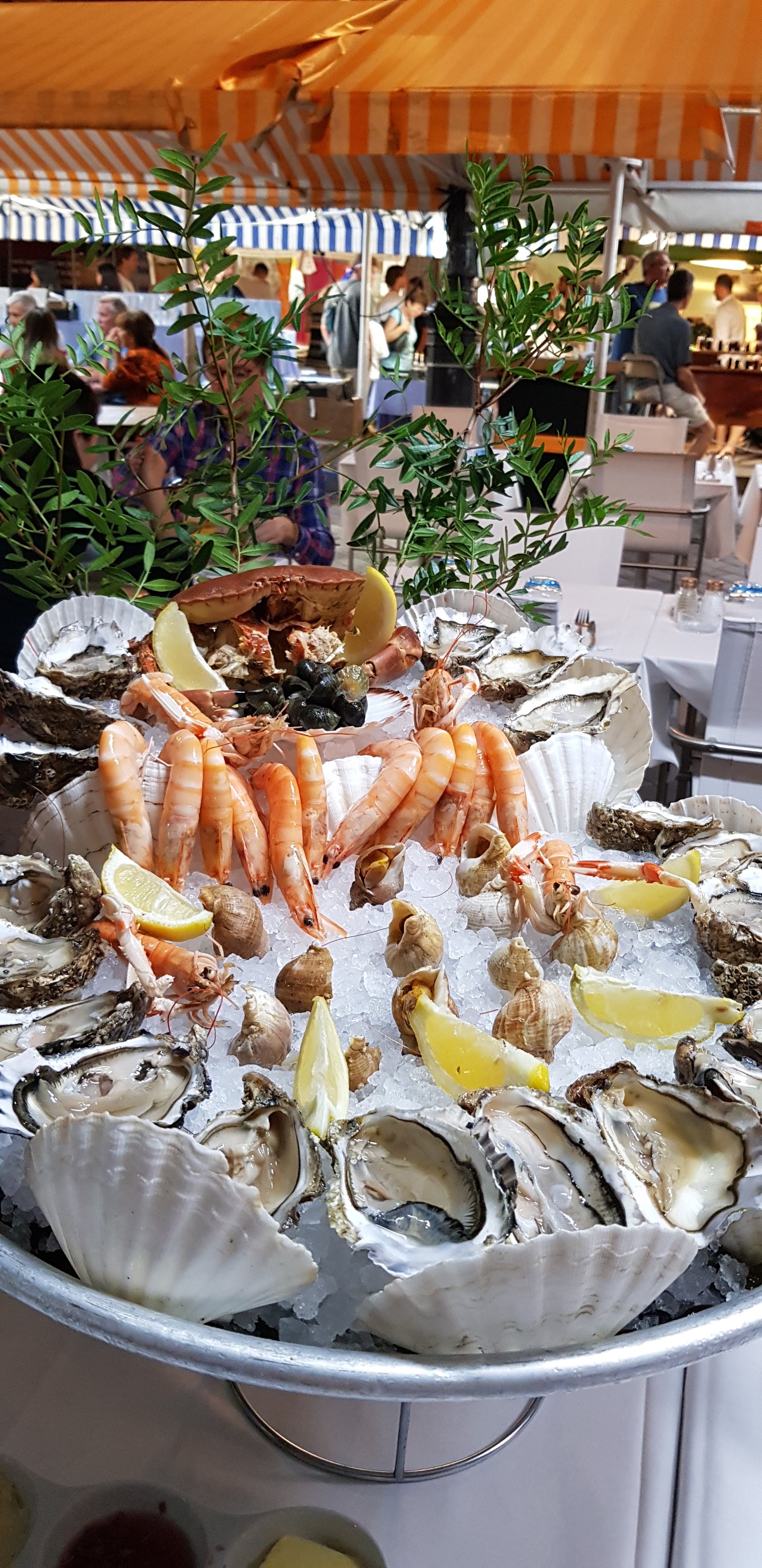 Photo n° 2 de l'avis de Roger.o fait le 22/08/2019 à 14:08